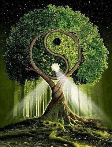 copacul abundentei yin si yang