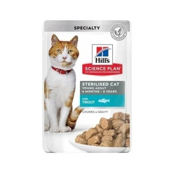 hrana umeda pentru pisici hill