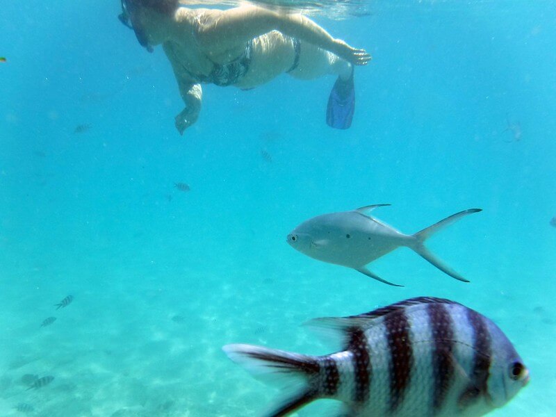 scufundari in seychelle
